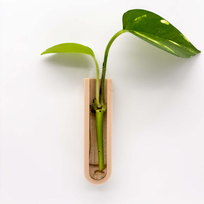 GrowMag
