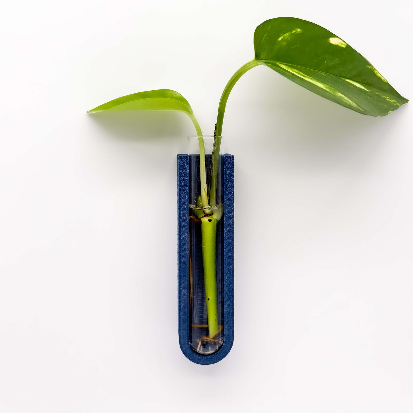 GrowMag