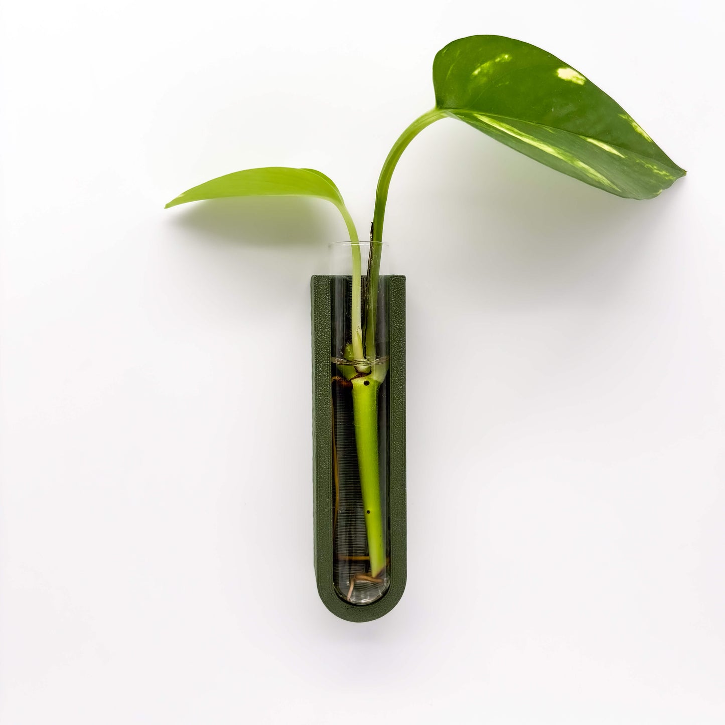 GrowMag