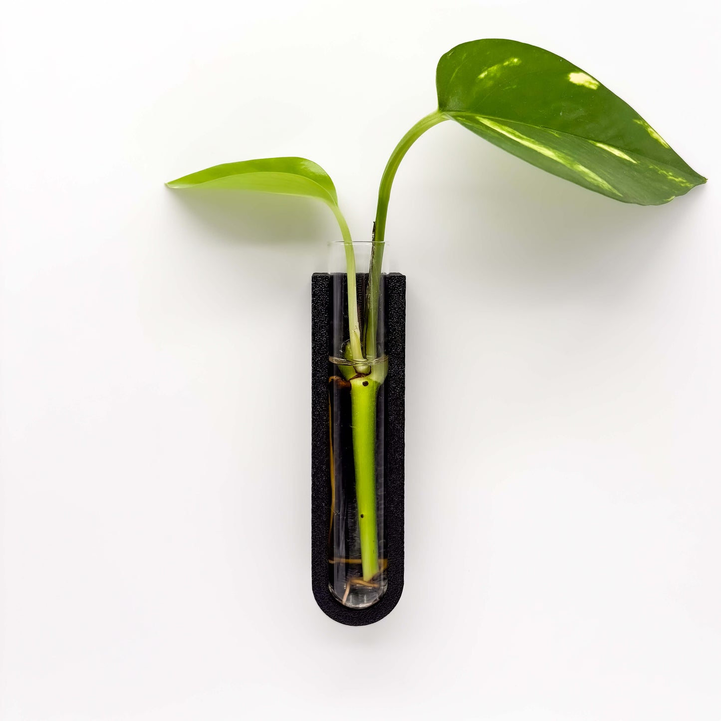 GrowMag