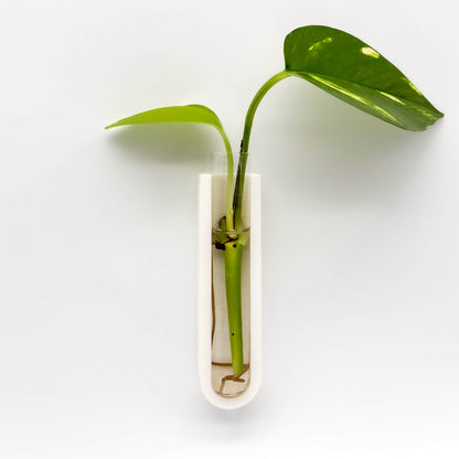 GrowMag