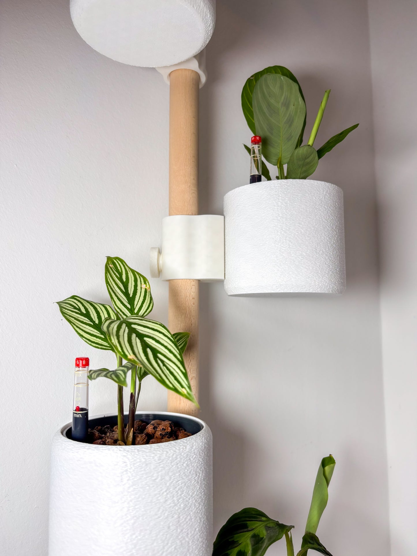 PlantPole