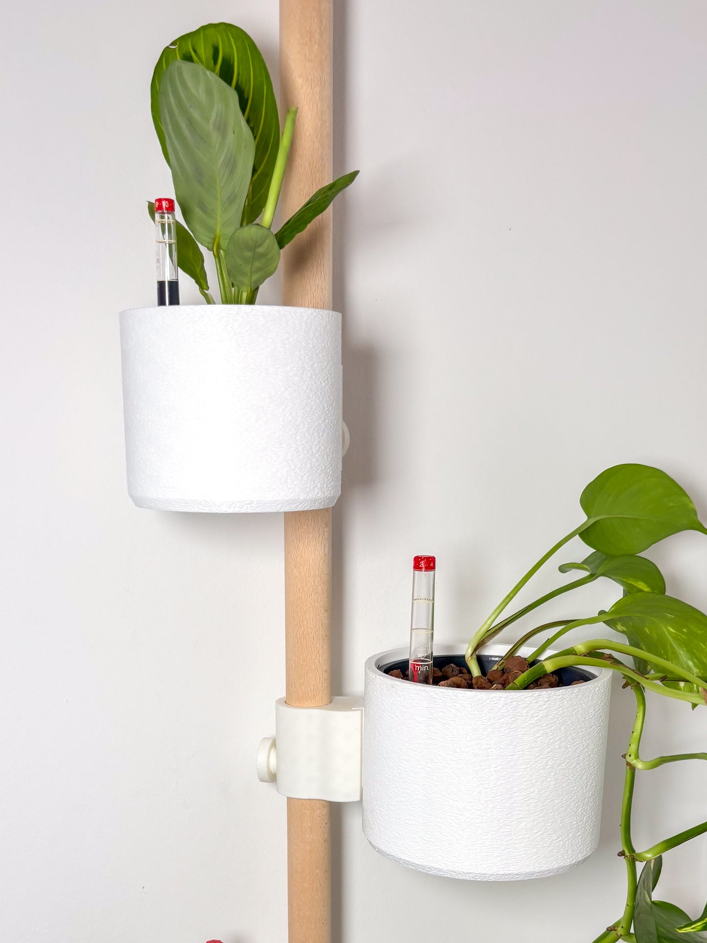 PlantPole