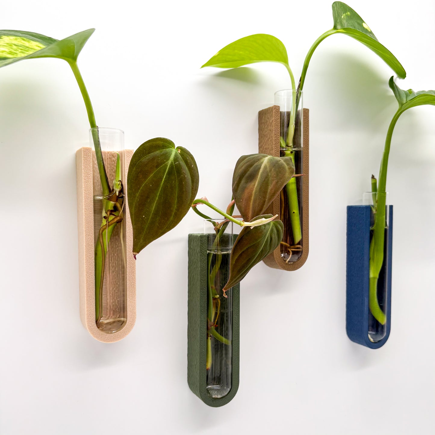 GrowMag