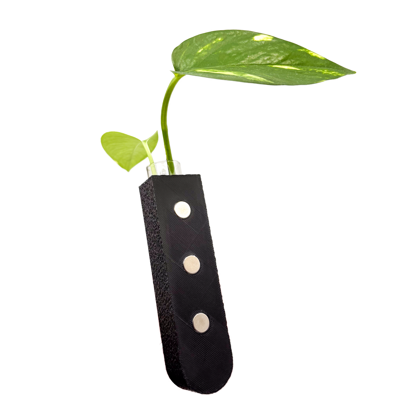 GrowMag