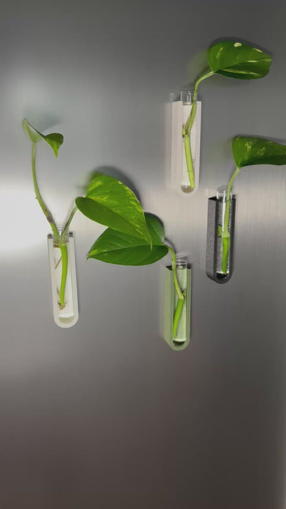 GrowMag